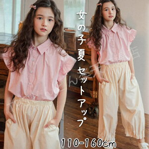 ZbgAbv ̎q ĕ ؍q ZbgAbv LbY ĕ ̎q TVc+Opc ChbOpc Y{ n K[Y  u sN q i LbY ZbgA