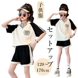 q ̎q ĕ ZbgAbv XEFbg 2_   VlbN TVc V[gpc ǂ ̑ WjA ㉺Zbg n[tpc X|[cEFA JWA  w 