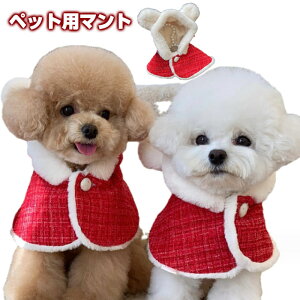  ybg NX}X ߑ ybgpnbg hbOEFA LbgEFA }g t[h NX}Xߑ lR L  ybgpi NX}X ybg NX}XRX`[ t[h