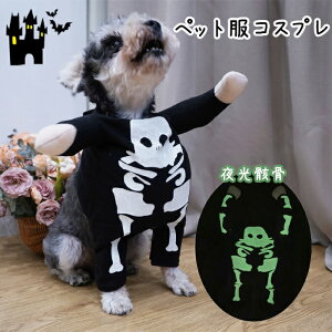  ybg nEB  nEB NX}X RXv  RX`[ ybgp ybgEFA  [ H hbOEFA ubN  [  LOʐ^