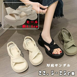  X|[cT_ fB[X ₷ T_ y X|[cT_ fB[X t  T_ X|[cT_ RtH[gT_ JWA Vv ]