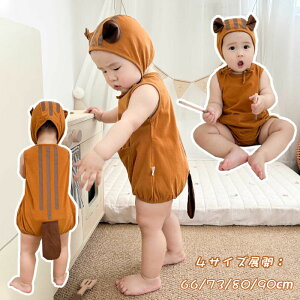 xCr[ p[X j̎q ̎q xr[ V m[X[u Xqt Ԃ q  킢 Jo[I[ 66 73 80 90