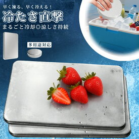 【保冷剤 ステンレス製】驚異の保冷力 長時間冷却 アイスパック 2枚セット 冷蔵冷凍対応 熱中症対策 アウトドア キャンプ 防災グッズ 長持ち 繰り返し使える 保冷用品 夏の必需品