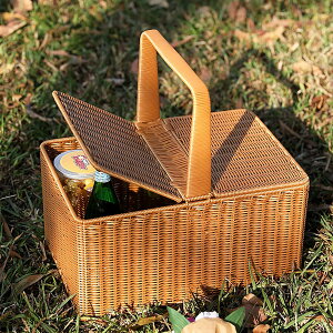 sNjbNoXPbg Wt [oXPbg ِ  s Ԍ obO [ Jg[ p[eB[p sNjbNp 