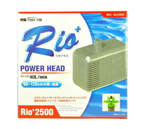 �J�~�n�^Rio+2500(60Hz�E�����{�n��p)�p���[�w�b�h�|���v
