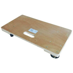 RCt}cgؐMTC-6045ύ100kg60x45cm