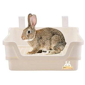 GiftygC傫lpŒ莮gC^[юUh~P[WT[NR[i[gCXmRt