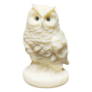 Umoraӂ낤u}XRbgIuWF킢rOփRRV̉ʎtNECeAH|i{bNXt(5.5cm)