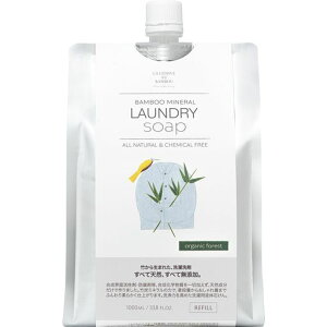 LALESSIVEAUBAMBOU(V[uI[ou[)ou[~lEh[\[vyI[KjbNtHXgz1000ml|琶܂ꂽYܐpP~Jt[