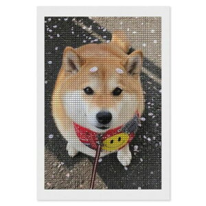 ČAjł_ChA[g_ChA[gLbgSґSʓ\_ChA[glpr[YDIY|hイLbgǖʑ(lpr[Y)