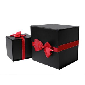 Mtg{bNXv[g{bNXv[gpbsO{{傫pbLO{bNXaMtg{bNX(ubNL)