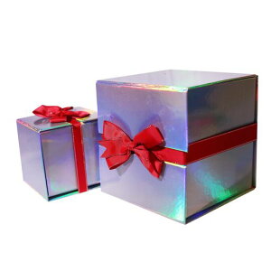 Mtg{bNXv[g{bNXv[gpbsO{{傫pbLO{bNXaMtg{bNX(I[M)