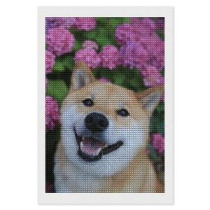 REENEW_ChA[gLbgSґSʓ\_ChA[gXNGADIY|hイLbgǖʑ(lpr[Y)