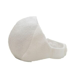 hamonAG~ctWɂȂRECX}XN\tB^5t̍RۖhLɗDKl̕ɂ{