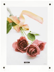 NAKABAYASHIANsN`[t[X^h^CvA4t-ACS-A4