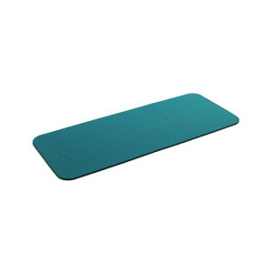 AIREX(�G�A���b�N�X)�g���[�j���O�}�b�g�t�B�b�g���C��180����10mm�E�H�[�^�[�u���[FITLINE180FITLINE180