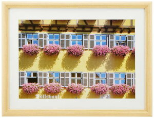 FUJICOLOR�z��YM-3�ؒn���C�h4�ؖؐ��x�[�W��55228