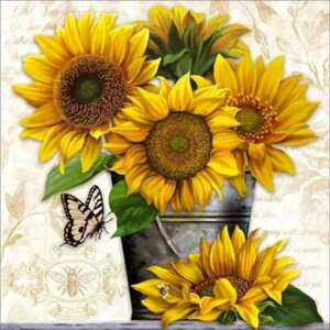 OWN4B�N���X�X�e�b�`�h�J�L�b�g�}�Ĉ���A11ct�Ђ܂��ƒ����S�Ҍ����̊ȒP�Ȏh�J�Z�b�g36x36cmCrossStitch