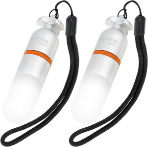 SecurityIngSD01_Cur[R_CrOMCg_CrOVOiCg5FIW////Ώ펞/_Ń[h150MCgPldrtXL[o_CrOP[u_Crc