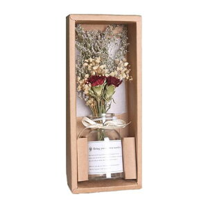 hCt[u[PKX{gu[PԖkX^ClHϗtAfR[VhCԕrKXOf[VԕrtVvƂ̑(J[l[g)