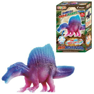 pCbgR[|[V(PILOTCORPORATION)Oh!![hŋ܂ق̃XsmTEX