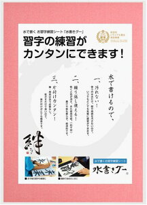 木と字の神林水書き書道セット水書きグー半紙サイズシートタイプ赤S-HS-R