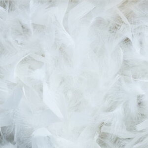 300pcstFU[V[t[V[ԉHuC_a8-12cmCxgp[eB[|ޗDIY()