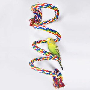 MUYYIKACRp[vp[`z~܂ؑ咆^IEVтtuR[vvRɌ`ςXgX