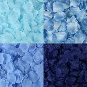 oԂт2000葢ԃ[YKNsNnu[nFt[V[v|[Y//a/j/p[eB[/BeȂǗp菬(u[n)