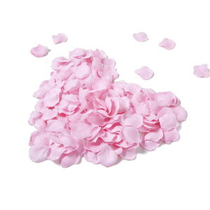 Ԃт3000Zbgt[V[KNԃv|[Y茋EGfBO2ajNX}Xp[eB[p(sN3000)