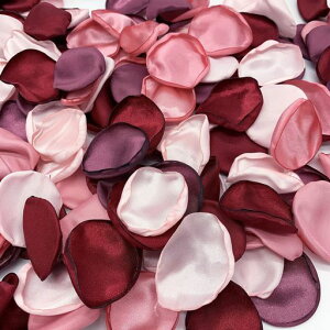 Ԃт200Zbgt[V[FVNԃv|[YEGfBOajp[eB[Bep(sNn)