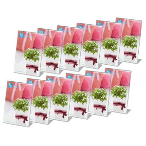 nNoywebzHAKUBAtHgt[ANLt[nKL(KG)TCY^e12Zbg[܂ƂߔZbg]AMZFACL12-KGTʐ^POPt[j[X^h