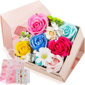 ̓̃v[g\[vt[o`Mtg{bNXԃzCgf[aLO搶̓̓̓]ȂǍœKƂẴv[gjȓwƏj̎qv[c