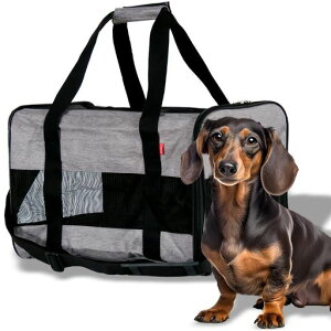 v`oybg{bNXL[3WAYybgL[L[obOL[P[XF:O[MhCu{bNXL܂肽ݎ