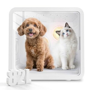 ywebzybghC[BolinkerhC[ybg@y2025V^E\ŋfzL@ybghC[{bNX3D̑40dBÉKxߑƊEŁc