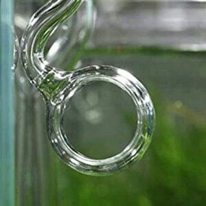 KXpCvotB^[pCv-#21-12~[g