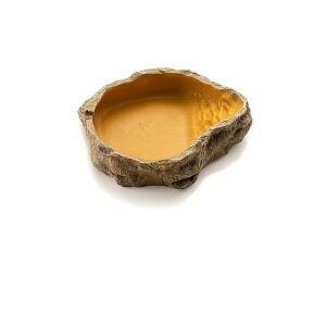 MUYYIKA঒ނMaH퐅ݏɂP[XXANZT[TgJQNT\ރtB[fBOfBbVEH[^[fBbVYňgՂ