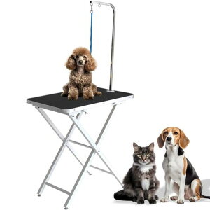 v`õAWX^[tiK߃g~Oe[uƒp/ʃubN/zCg74cmOR82cm