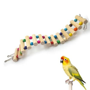 PAVIKE̎~܂ؒ̂IE̊Kiؐ͂Ki_X^hCRᒹVя~܂؃XgX̑P[WANZT[