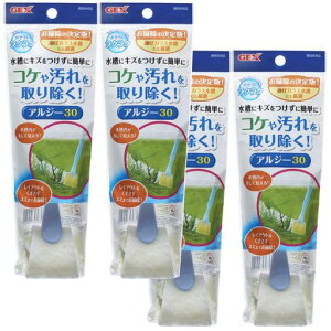 WFbNXGEXNNAW[30x4Zbg