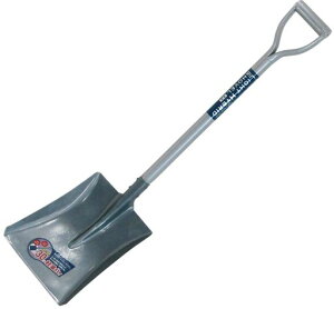 ߗ^(KONYO)FamilyTreeyʃpCvVxp^nCubh(A~pCv+SM  )30%yʉ Д