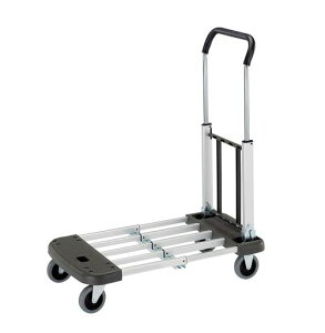 C`lTASCOTA821YN-2A~܂肽ݐLk