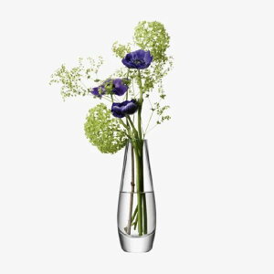 LSA(�G���G�X�G�[)�t�����[�x�[�X(�Ԋ�)�N���A����17cmFLOWERG612-17-301