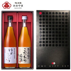 uNHKC`ŏЉ܂Iv~ n߂Ђт 720ml 썂~̂~ 720ml ye1{z ~Mtg ~ n~ Mtg v[g yz ܖH[