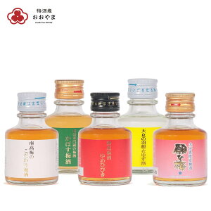 ~ݔ ~j{g ~5{Zbg ( 90ml×5{ ) В Mtg  h 썂 n ݔ v[g lEbsOs yz ܖH[