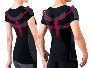 yS̔̔́zTY ďC pT|[gCi[