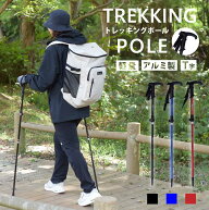 トレッキングポール T型 2本セット 長さ調整 伸縮 折りたたみ 杖 超軽量 アルミ製 軽量 登山ポール ステ…