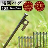 スチール ペグ 30cm 20cm 10本セット 高張力鋼製 φ10mm ペグ30cm スチール製 草地用 硬い土 砂地 テント…
