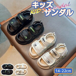 LbY T_ X|[cT_ ̎q j̎q 14-22cm  V r[`T_ qT_ ܐK[h ɂȂ xr[T_ xN ₷ ɂ AEghA ʊw 