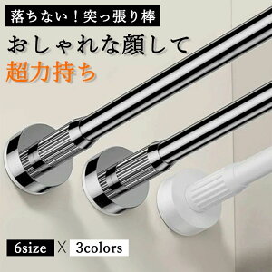 ͓˂_ ς_ XeX  hsv 35-250cm Lk_ N[[bgbh J[ebh V[J[ebh  󊱂 zc  O